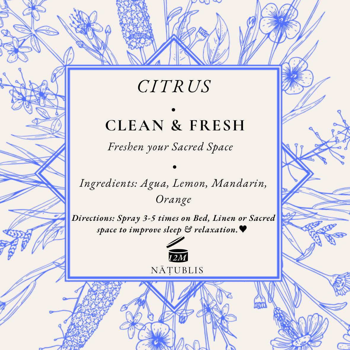 CITRUS ⟡ CLEAN & FRESH